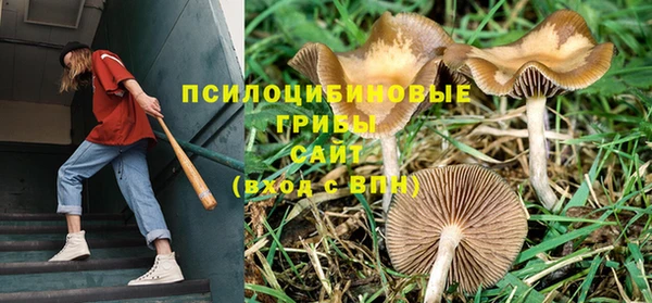 дживик Михайловка