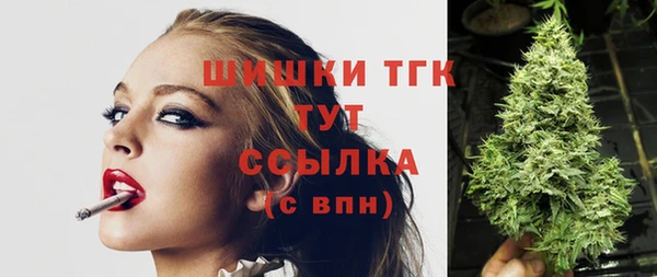 стаф Михайловск