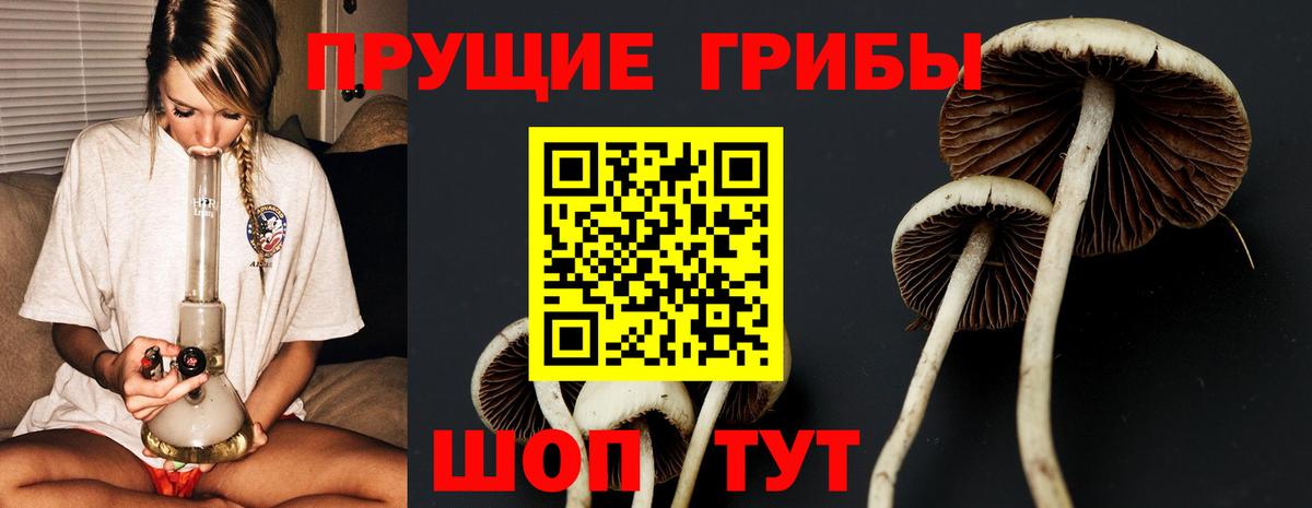 Галлюциногенные грибы Magic Shrooms  Галлюциногенные грибы GOLDEN TEACHER  Вход с VPN  Реж 